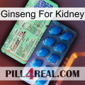 Ginseng For Kidney new02